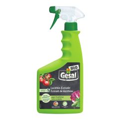 Gesal Lecithin-Extrakt Fl 750 ml