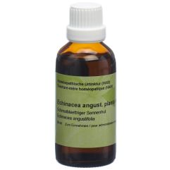 SPAGYROS echinacea angustifolia teint mère 50 ml