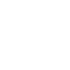 Metavirulent Tropfen Fl 100 ml