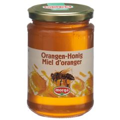 MORGA miel orange verre 500 g