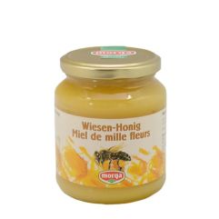 MORGA Wiesen Honig Ausland Glas 500 g