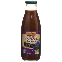 Danival Pflaumensaft 750 ml