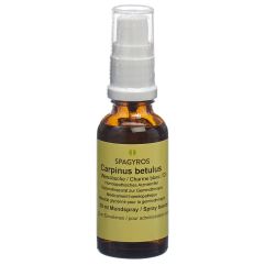 SPAGYROS GEMMO carpinus betul mac glyc 1 D 30 ml