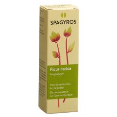 Spagyros Gemmo Ficus carica Glyc Maz D 1 Spr 30 ml