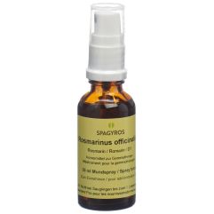 Spagyros Gemmo Rosmarinus officinalis Glyc Maz D 1 Spr 30 ml