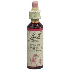 Bach-Blüten Original Star of Bethlehem No29 20 ml