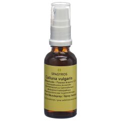 Spagyros Gemmo Calluna vulgaris Glyc Maz D 1 Spr 30 ml