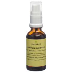 Spagyros Gemmo Fraxinus excelsior Glyc Maz D 1 Spr 30 ml