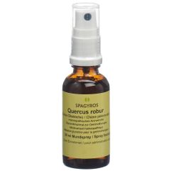 SPAGYROS GEMMO quercus robur mac glyc 1 D 30 ml