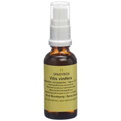 SPAGYROS GEMMO vitis vinifera mac glyc 1 D 30 ml