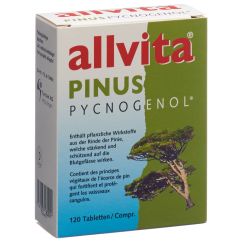 ALLVITA Pinus Pycnogenol cpr 120 pce