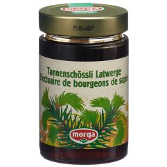 MORGA confiture bourg sapin électuaire 375 g