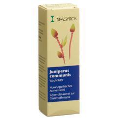 Spagyros Gemmo Juniperus communis Glyc Maz D 1 Spr 30 ml