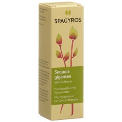 SPAGYROS GEMMO sequoia gigant mac glyc 4 D 30 ml