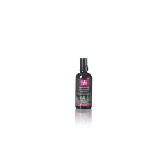 SUISSESSENCES Raumspray Wald Fl 100 ml