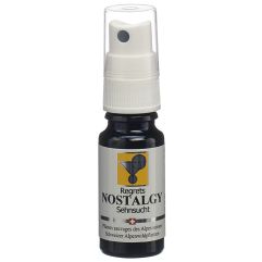 ODINELIXIR nostalgy ess flor prêt emp spr 10 ml