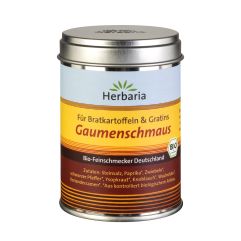 Herbaria Gaumenschmaus bio Ds 100 g