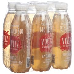 VIVITZ Bio Eistee Apfelminze 6 x 0.5 lt