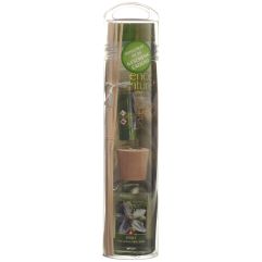 ESSENCE OF NATURE Sticks Neroli 100 ml