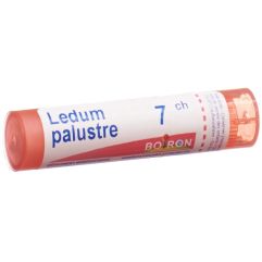 Boiron Ledum palustre Gran CH 7 4 g