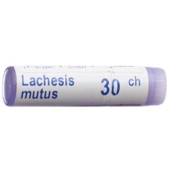 Boiron Lachesis mutus Glob CH 30 1 Dos