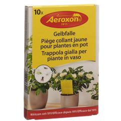 AEROXON Piège jaune collant 10 pce