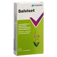 SALVISET pastilles 24 pce