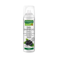 RAUSCH DRY SHAMPOO Fresh spr aéros 150 ml