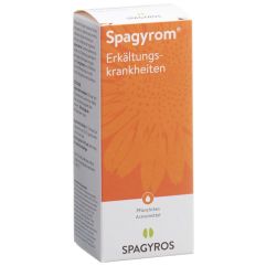 SPAGYROM Refroidissements gouttes fl 100 ml