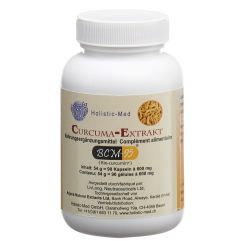 Holistic Med Curcuma-Extrakt 500 mg Vegikaps Ds 90 Stk