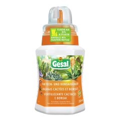 GESAL Engrais cactées et bonsaïs 250 ml