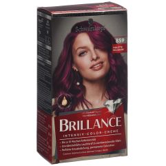 Brillance 859 Violette Wildseide