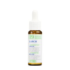 PHYTOMED Nr19 Bach Tropfen-Konzentrat alkoholfrei Pip Fl 10 ml