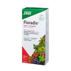 Floradix Eisen + Vitamine Fl 250 ml