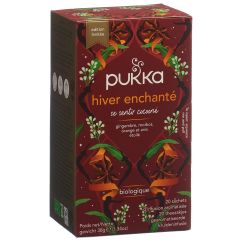 Pukka Hiver enchanté Btl 20 Stk