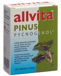 allvita PINUS PYCNOGENOL 120 Tabletten